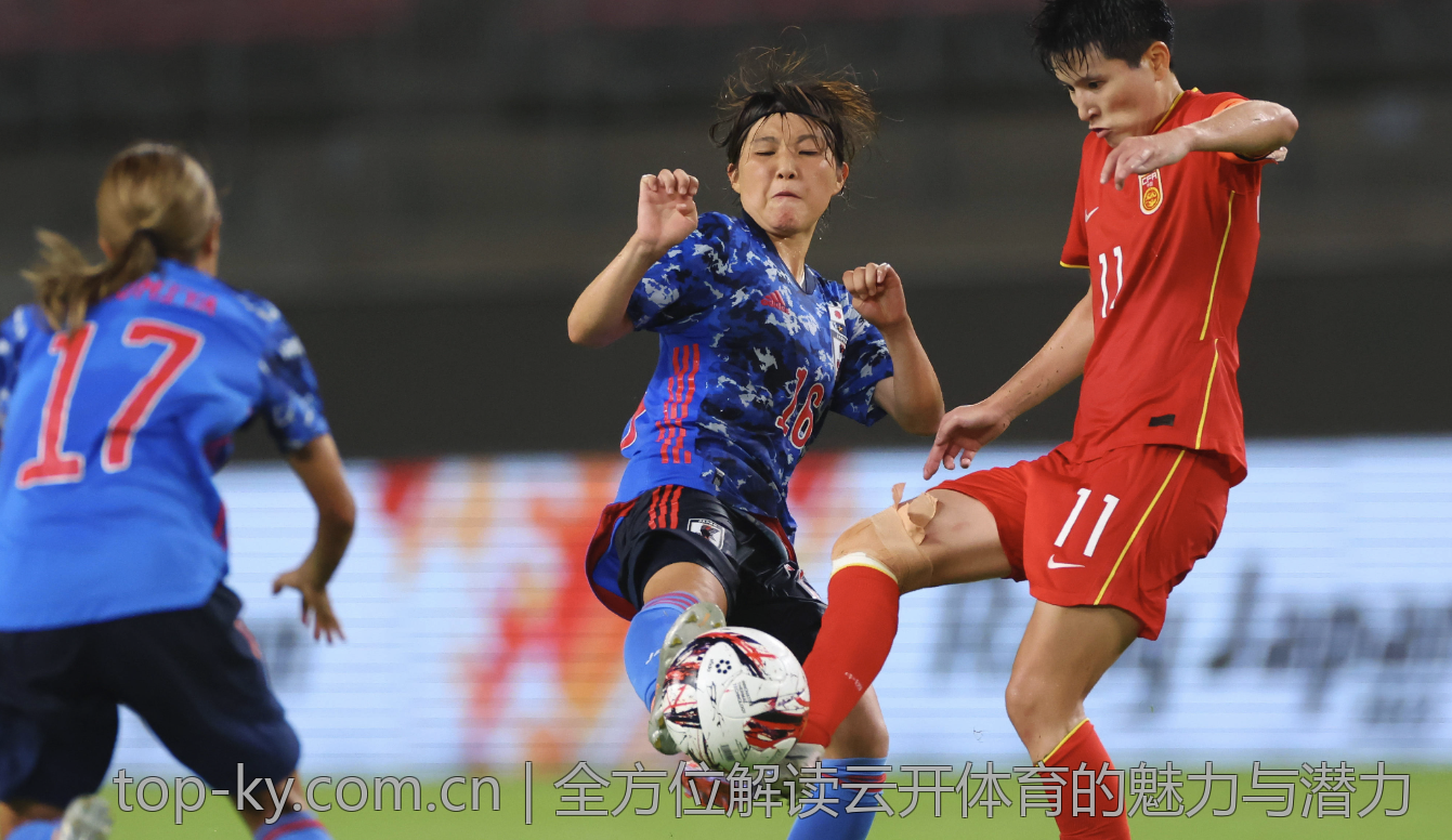全方位解读云开体育的魅力与潜力