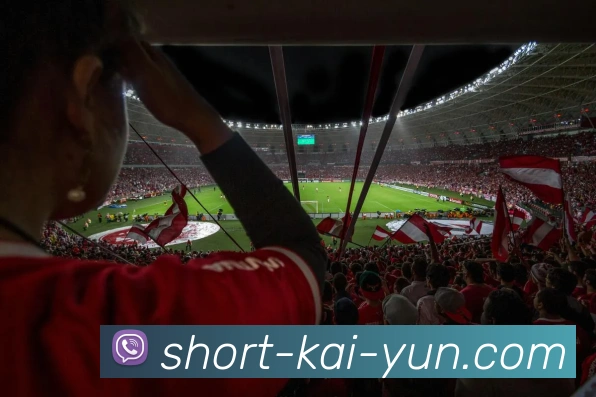 kaiyunAPP 封面图